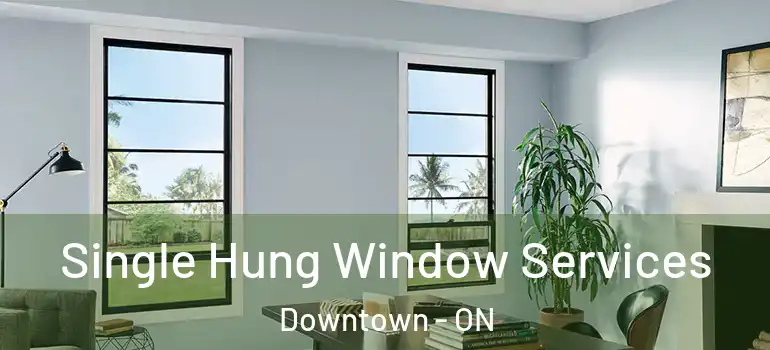 Single Hung Window Services Downtown - ON