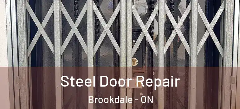 Steel Door Repair Brookdale - ON