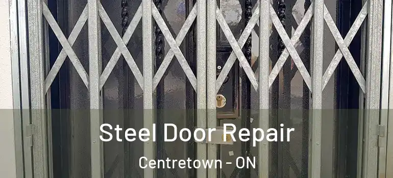Steel Door Repair Centretown - ON