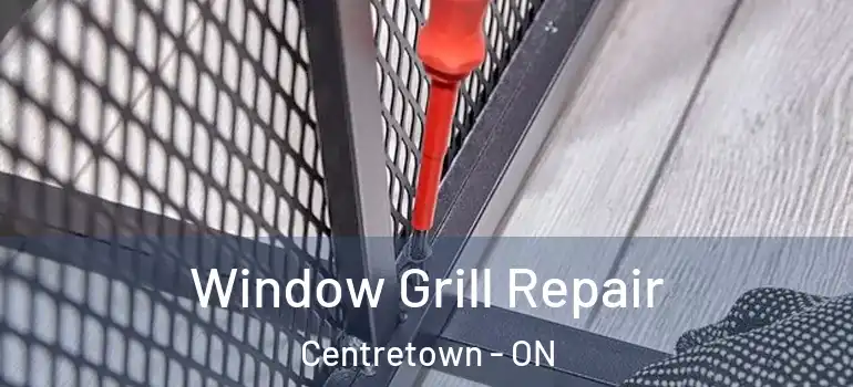 Window Grill Repair Centretown - ON
