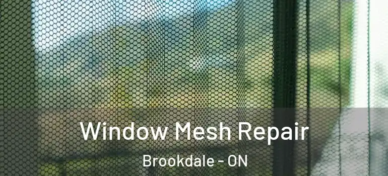 Window Mesh Repair Brookdale - ON