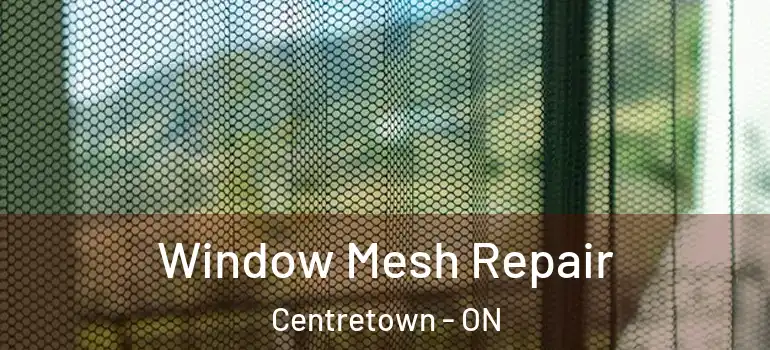 Window Mesh Repair Centretown - ON