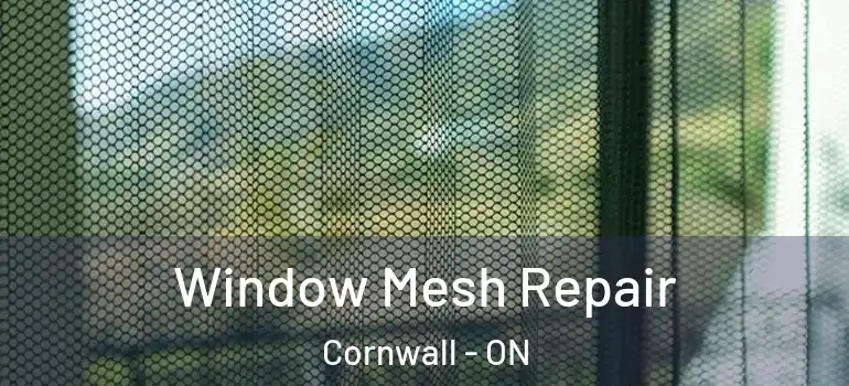 Window Mesh Repair Cornwall - ON