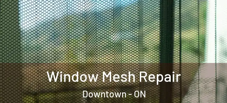 Window Mesh Repair Downtown - ON