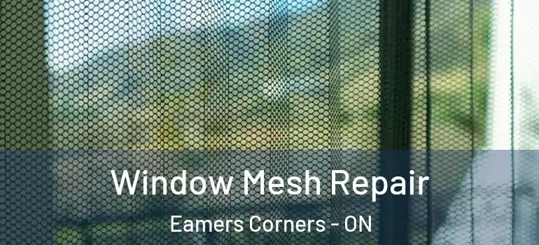 Window Mesh Repair Eamers Corners - ON