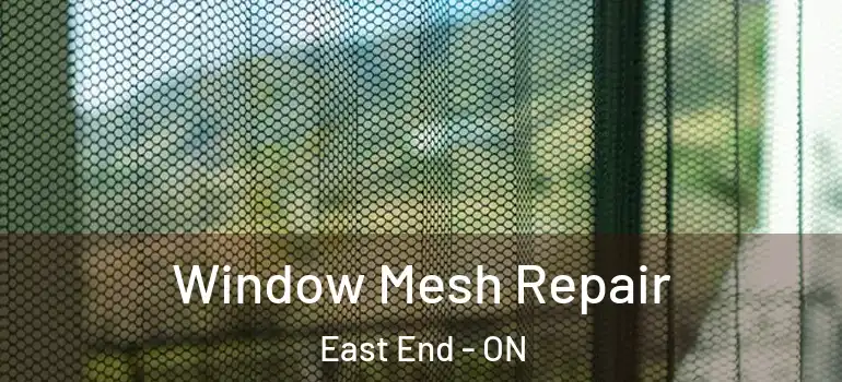 Window Mesh Repair East End - ON