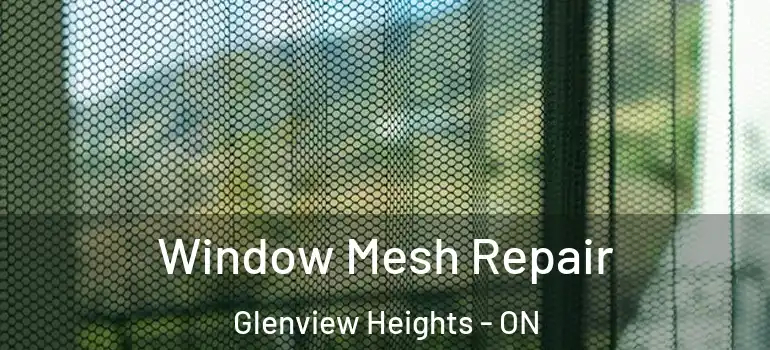 Window Mesh Repair Glenview Heights - ON