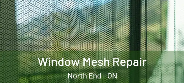 Window Mesh Repair North End - ON