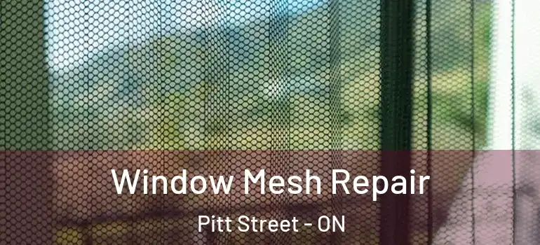 Window Mesh Repair Pitt Street - ON