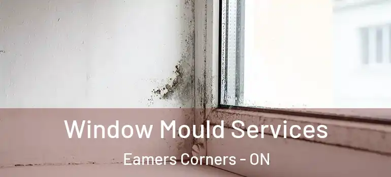 Window Mould Services Eamers Corners - ON