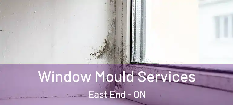 Window Mould Services East End - ON