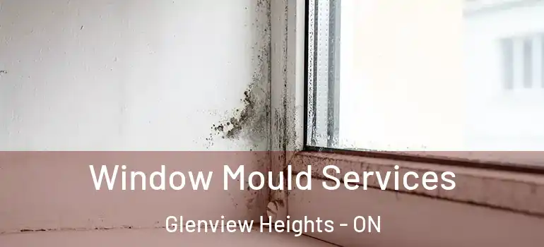 Window Mould Services Glenview Heights - ON