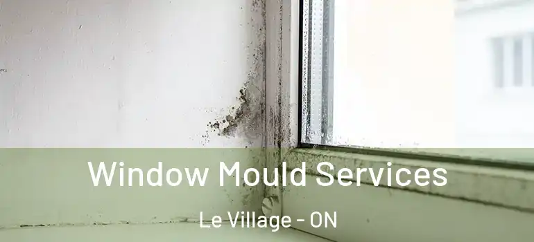 Window Mould Services Le Village - ON