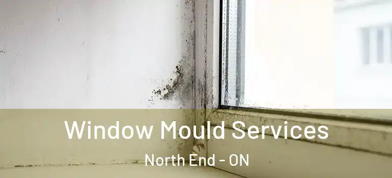 Window Mould Services North End - ON
