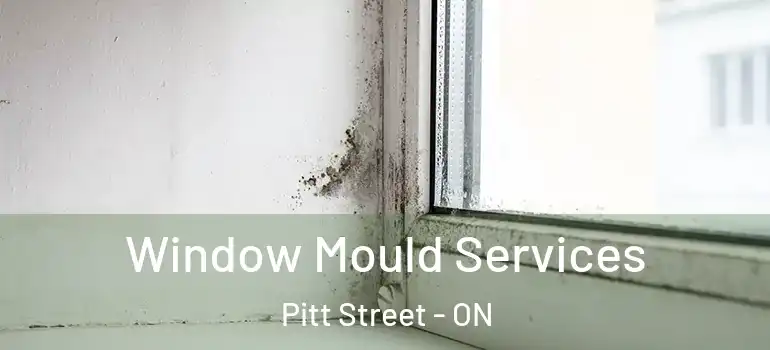 Window Mould Services Pitt Street - ON