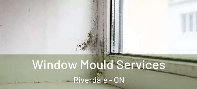 Window Mould Services Riverdale - ON