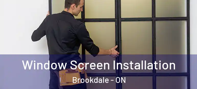 Window Screen Installation Brookdale - ON