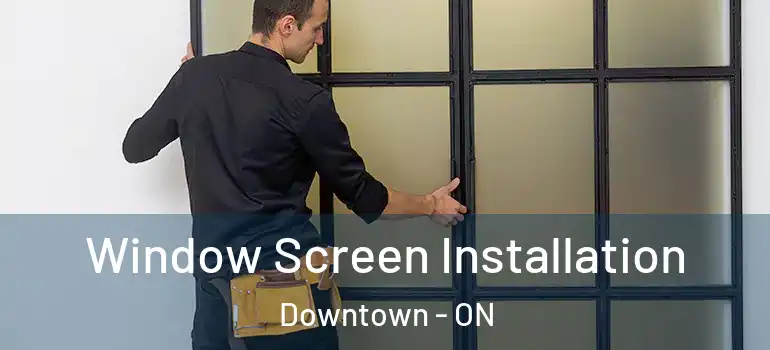 Window Screen Installation Downtown - ON