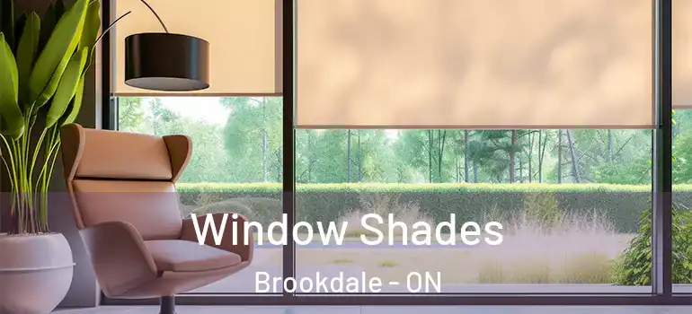 Window Shades Brookdale - ON