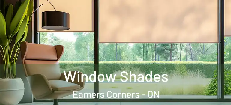 Window Shades Eamers Corners - ON