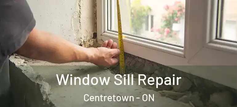 Window Sill Repair Centretown - ON