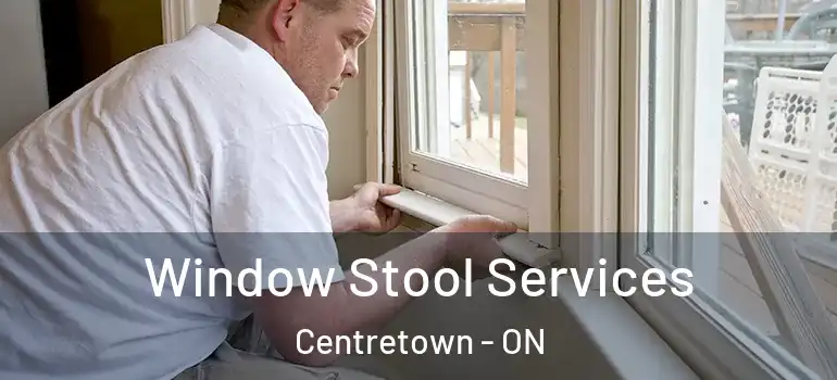 Window Stool Services Centretown - ON