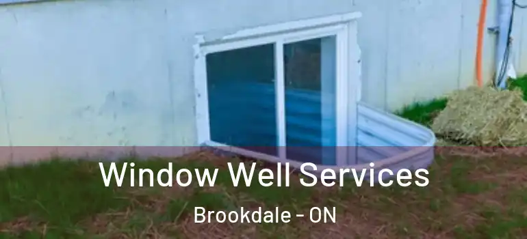 Window Well Services Brookdale - ON