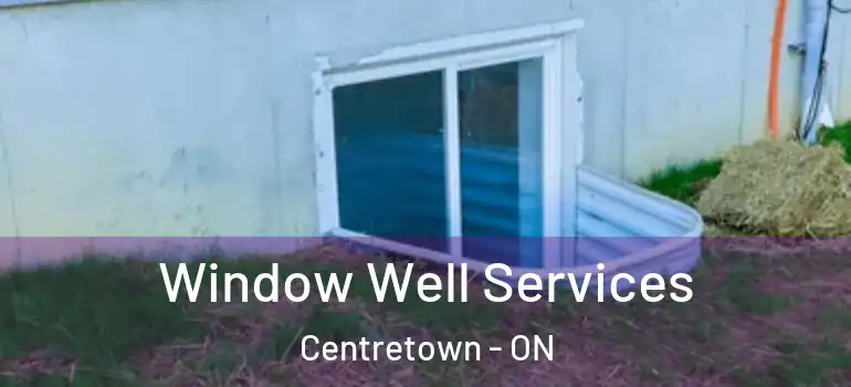 Window Well Services Centretown - ON