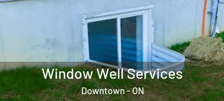 Window Well Services Downtown - ON
