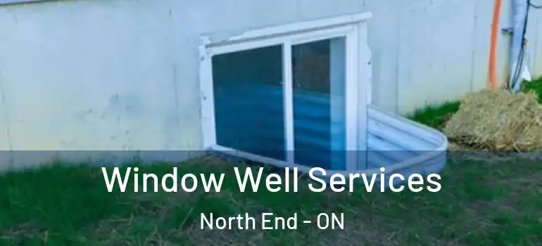 Window Well Services North End - ON