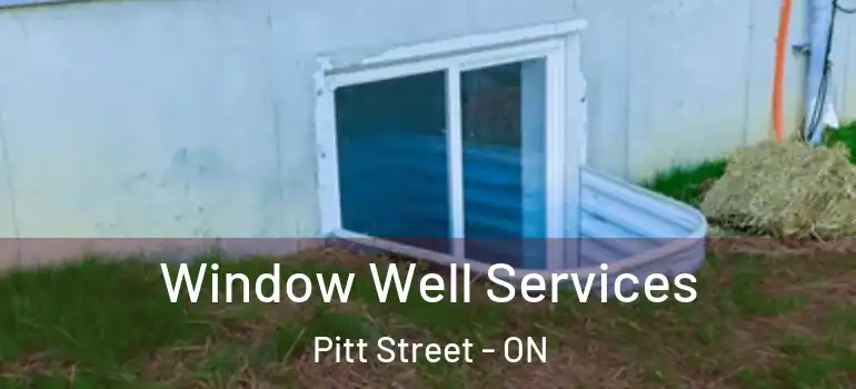 Window Well Services Pitt Street - ON