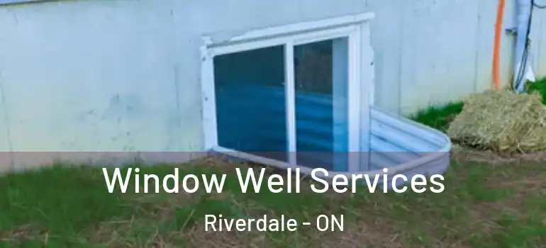 Window Well Services Riverdale - ON